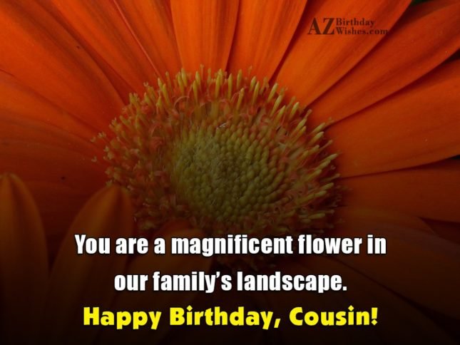 azbirthdaywishes-birthdaypics-15617