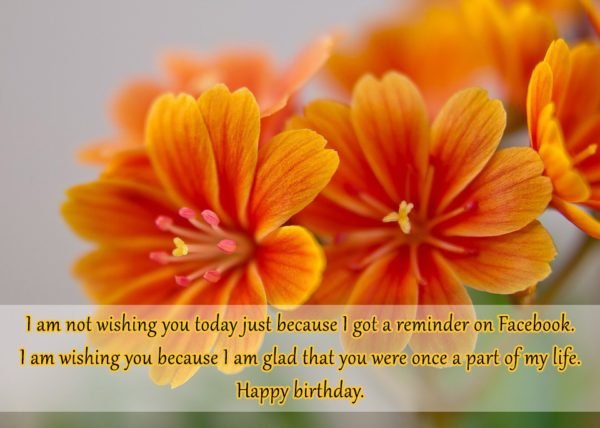 I am not wishing you today just because I… - AZBirthdayWishes.com