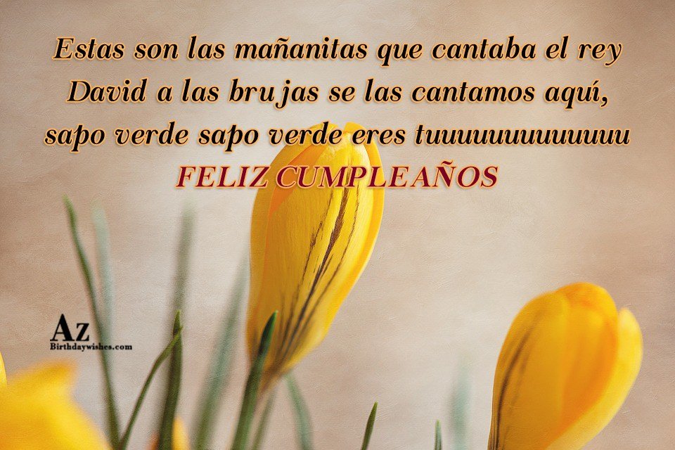 Y Estas Son Las Mañanitas Que Cantaba El Rey David eroppa.com