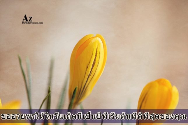 azbirthdaywishes-7219