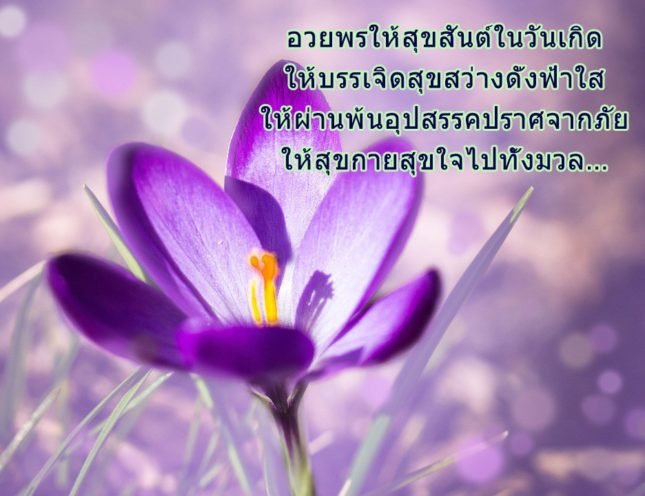 azbirthdaywishes-7234