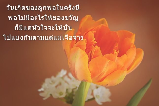 azbirthdaywishes-7236