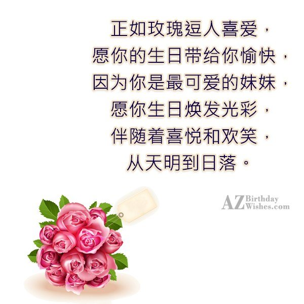 Birthday Wishes For Sister In Chinese Infoupdate