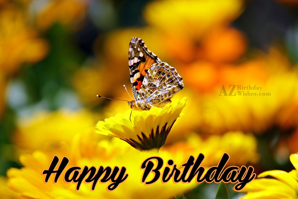 Beautiful Happy Birthday Wish With Butterfly On Yellow Flowers
