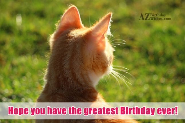 azbirthdaywishes-birthdaypics-22348