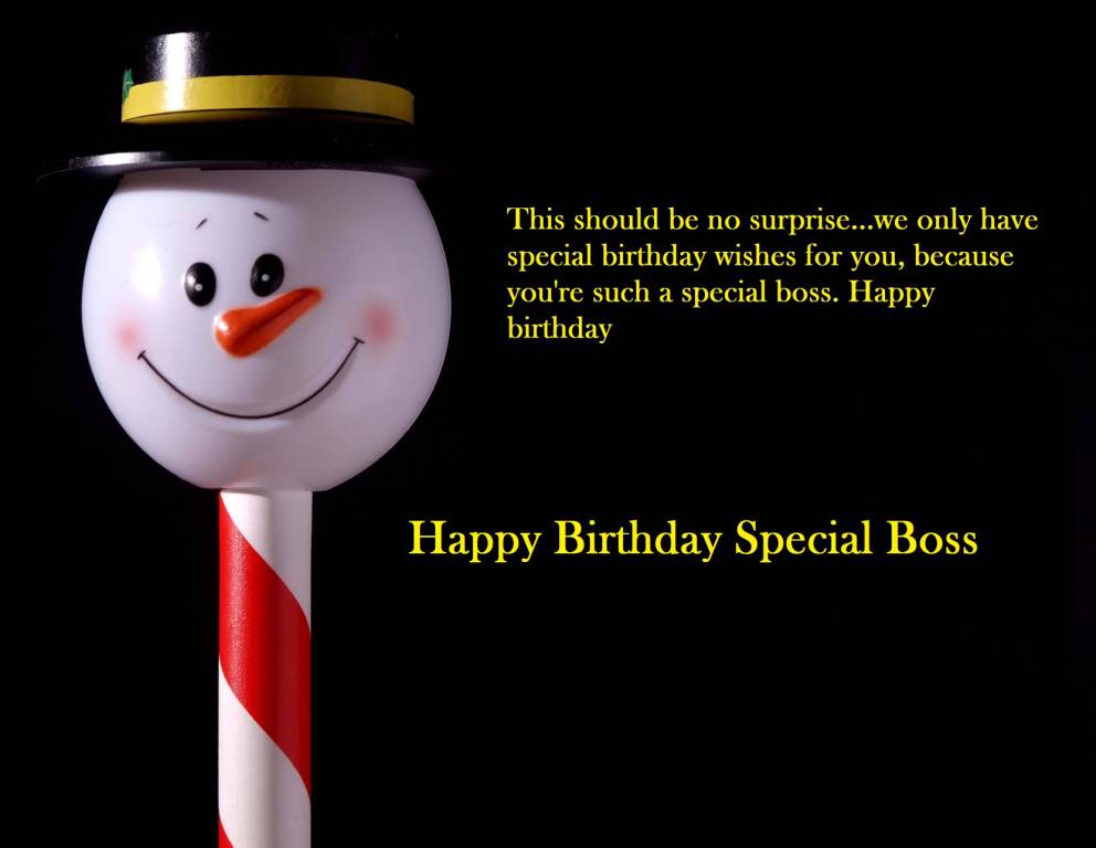 Happy birthday special boss…